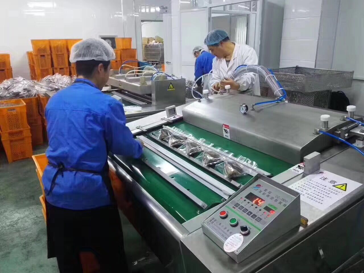 Continuous vacuum packing sealer