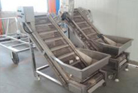 Potato fries lifting conveyor